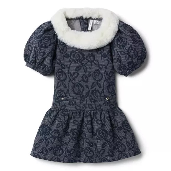 Janie and Jack Other - NWT Janie and Jack Faux Fur Collar Floral Jacquard Dress